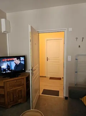 Télévision ou salle de divertissement dans l'établissement Charmant appartement centre ville proche thermes