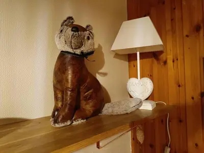 Animal ou animaux domestique(s) séjournant avec des clients dans l'établissement Charmant Chalet de montagne