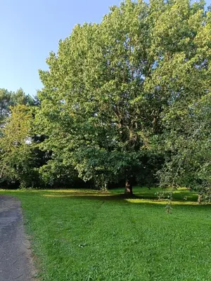 Jardin de l'établissement Maison de famille 8-9 personnes