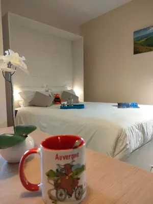 Un ou plusieurs lits dans un hébergement de l'établissement VVF Super-Besse Auvergne Sancy