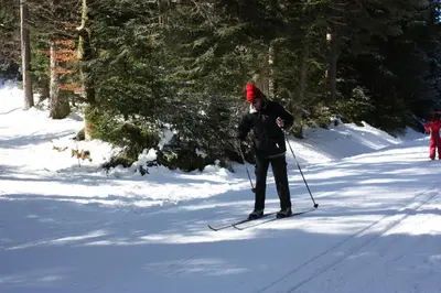 L'établissement Volcans Vacances Les Chalets Du Lac en hiver