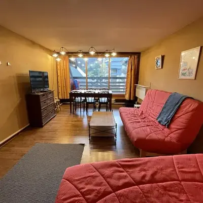 Appartement cosy avec balcon au cœur de la station - FR-1-787-78