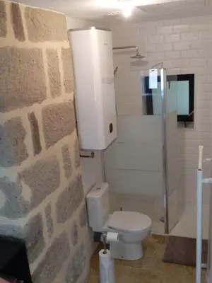 Salle de bains dans l'établissement Le Forestier - 1 Pièce