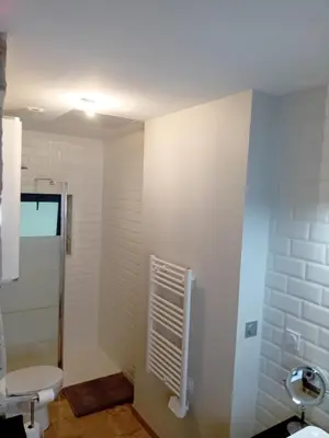Salle de bains dans l'établissement Le Forestier - 1 Pièce