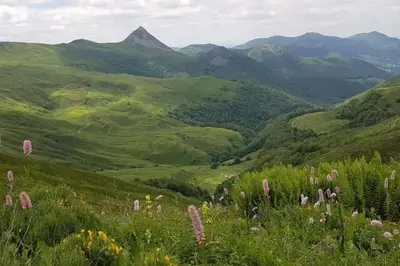 Paysage naturel près de la maison de vacances
