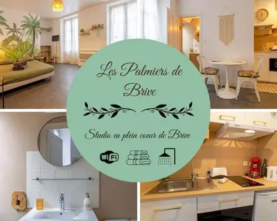 Cuisine ou kitchenette dans l'établissement Les palmiers de Brive