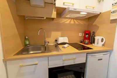 Cuisine ou kitchenette dans l'établissement Les palmiers de Brive