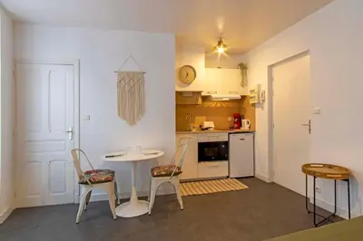 Cuisine ou kitchenette dans l'établissement Les palmiers de Brive