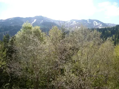 Paysage naturel près de l'appartement