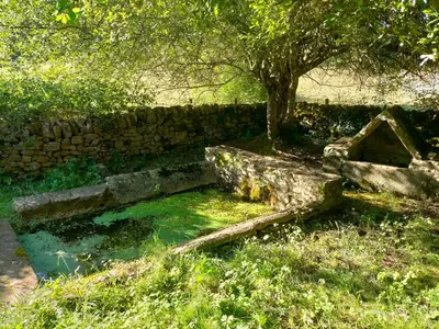 Jardin de l'établissement Le Clos de Roussières