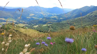 Paysage naturel près de l'appartement