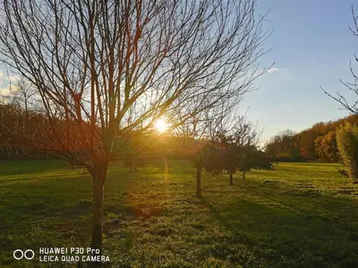 Lever ou coucher de soleil vu de la maison de vacances ou à proximité