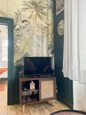 Télévision ou salle de divertissement dans l'établissement Appart centre historique Tulle