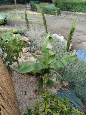 Jardin de l'établissement Studio de la bastide