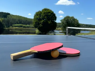 Tennis de table au sein de l'établissement Domaine des Annouillards ou à proximité