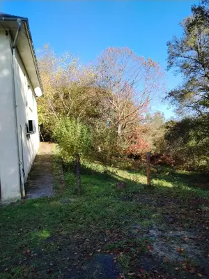 Jardin de l'établissement Maisonette next to woodland