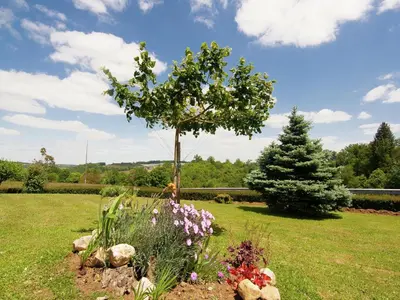 Jardin de l'établissement Beautiful holiday home near lake and forest