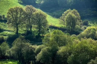 Paysage naturel près de l'appartement