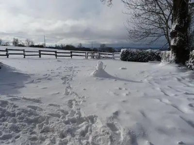 L'établissement Gite Chez Picou en hiver
