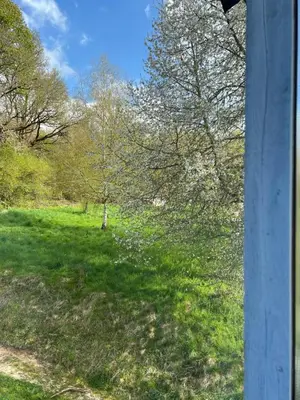 Jardin de l'établissement Chez mémé