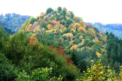 Paysage naturel près de l'appartement