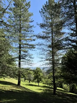 Paysage naturel près de l'appartement