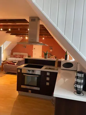 Cuisine ou kitchenette dans l'établissement Appartement centre Mur de Barrez