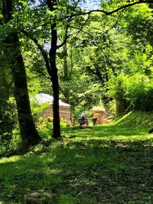 Paysage naturel près de l'appartement