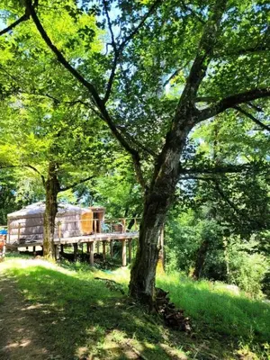 Jardin de l'établissement Gîte de France La yourte joulebois - Gîte de France 2 personnes MAE-6961