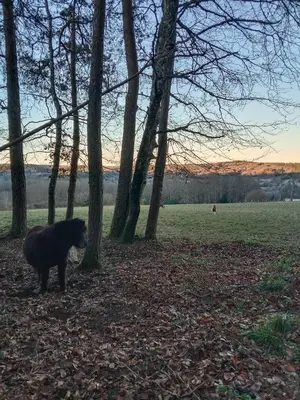 Paysage naturel près de la maison de vacances
