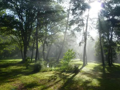 Paysage naturel près de la maison de vacances