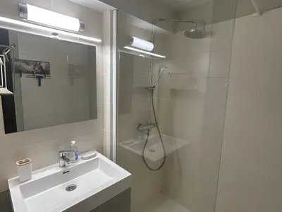 Salle de bains dans l'établissement Appartement 2 Chambres - Proche Pistes et Commerces - FR-1-814-48