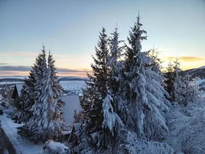 Paysage naturel près de l'appartement