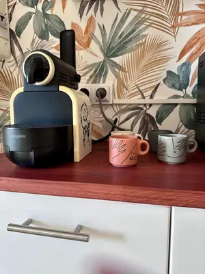 Cuisine ou kitchenette dans l'établissement Casa Ribot #10 - T4 pour 5 personnes - Proche Centre Ville