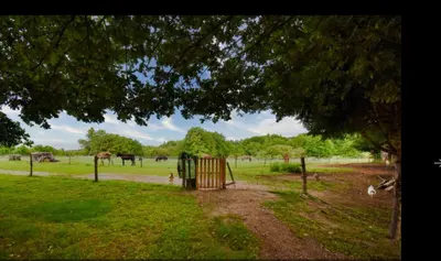 Jardin de l'établissement Gite Les Sources