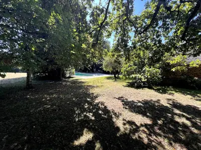 Jardin de l'établissement Gîte de Gilbert