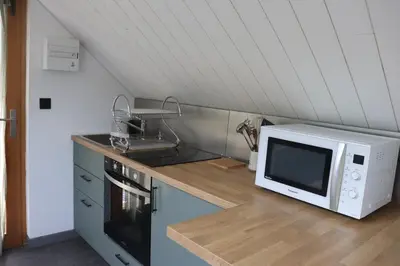 Cuisine ou kitchenette dans l'établissement Studio au cœur du sancy