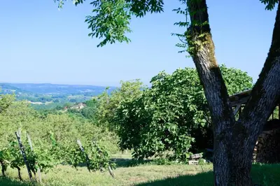 Paysage naturel près de l'appartement