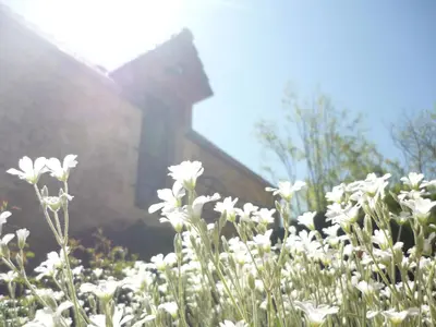 Jardin de l'établissement Les Deux Moiselles - Le Cheyssignaguet