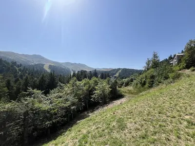 Paysage naturel près de l'appartement