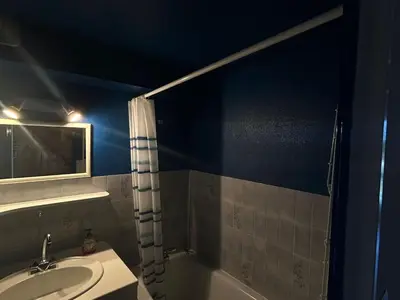 Salle de bains dans l'établissement Appartement duplex 4 pers, centre station, garage privé - FR-1-814-82
