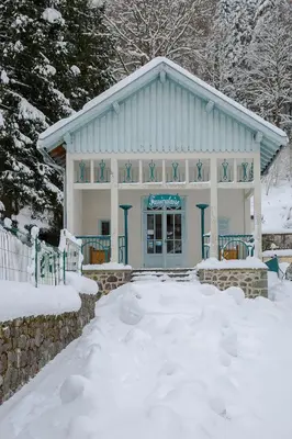 L'établissement Nid douillet avec balcon et vue montagne Mt Dore en hiver