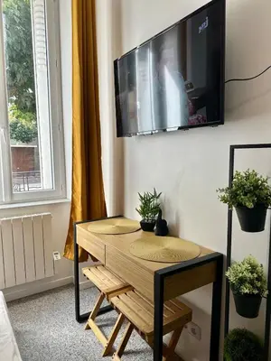 Télévision ou salle de divertissement dans l'établissement Studio1 rue Théodore Bac - DABNB