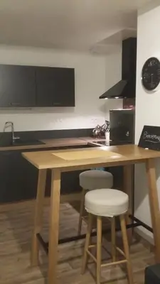 Cuisine ou kitchenette dans l'établissement Le petit nid aux bords de vienne