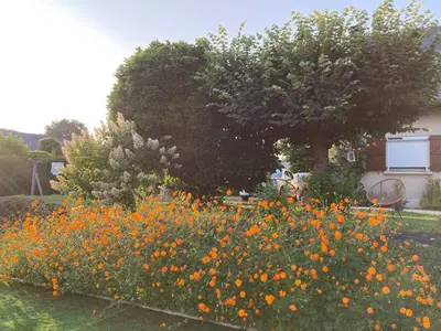 Jardin de l'établissement Le temps des gabariers