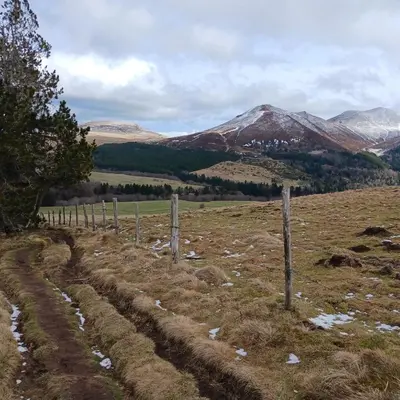 Paysage naturel près de l'appartement
