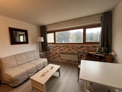 Coin salon dans l'établissement Studio 3 personnes en station avec parking couvert - FR-1-787-115