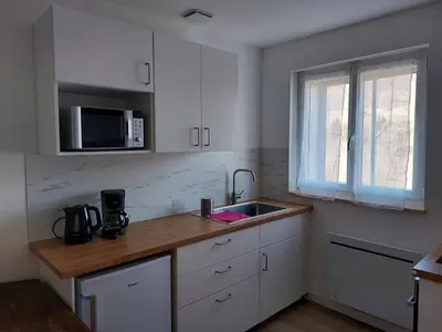 Cuisine ou kitchenette dans l'établissement Appartement en plein cœur du Massif du Sancy