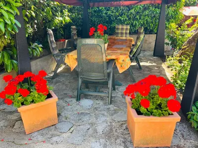 Jardin de l'établissement F3-Anémone