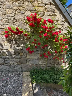 Jardin de l'établissement F3-Anémone